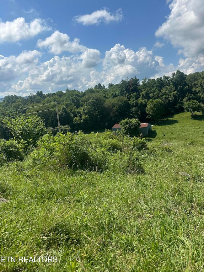 0 Cumberland Estates Rd, Cumberland Gap, TN 37724 - photo 4