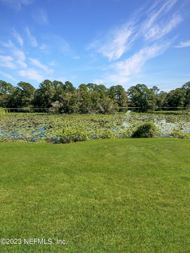 2337 White Sands Dr, Jacksonville, FL 32216 - photo 5