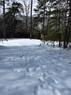 18N Bear Paw Rd, Jasper, GA 30143 - photo 3