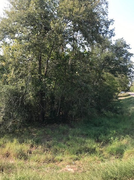 0 Leperchaun Ln, Brazoria, TX 77422 - photo 4