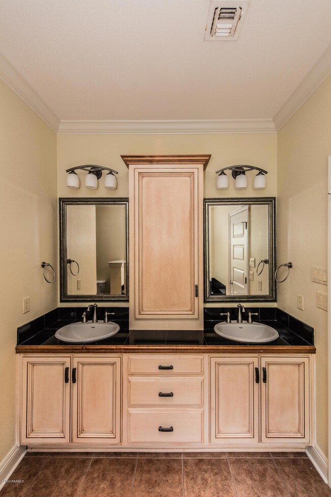 Master Bathroom Vanity