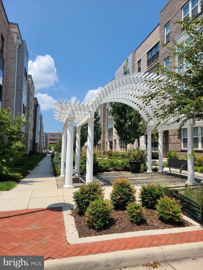 13361 Launders St, Herndon, VA 20171 - photo 5