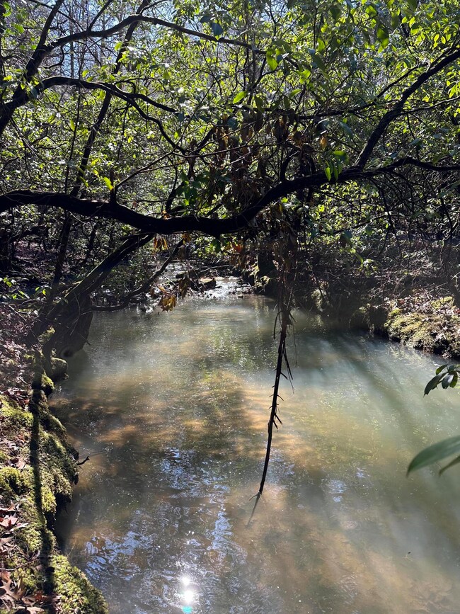 Tract 16 Thomas Springs Rd, Crossville, TN 38572 - photo 4