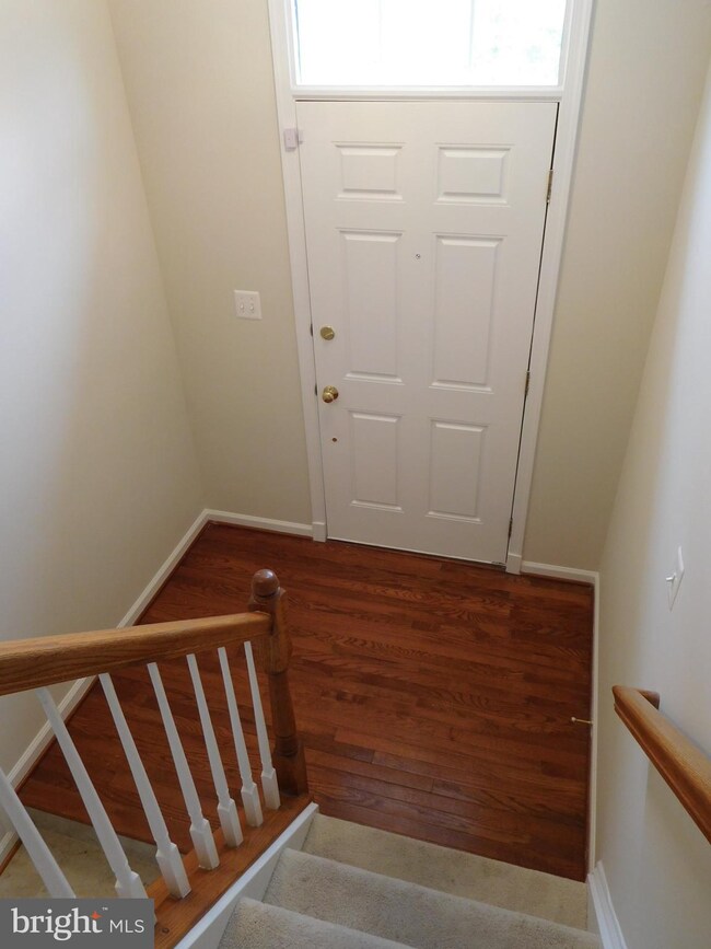 25300 Shipley Terrace, Chantilly, VA 20152 - photo 2