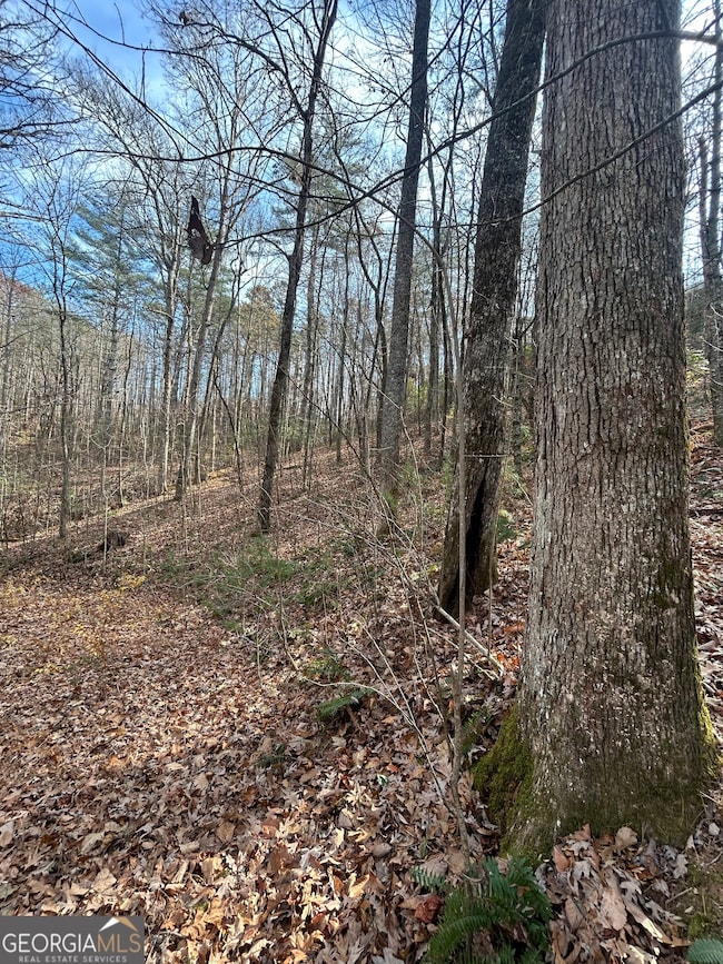 0 Amaryllis Ln unit 10647717, Tiger, GA 30576 - photo 6