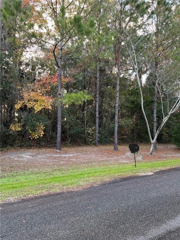 129 Merganser Dr, Brunswick, GA 31523 - photo 3