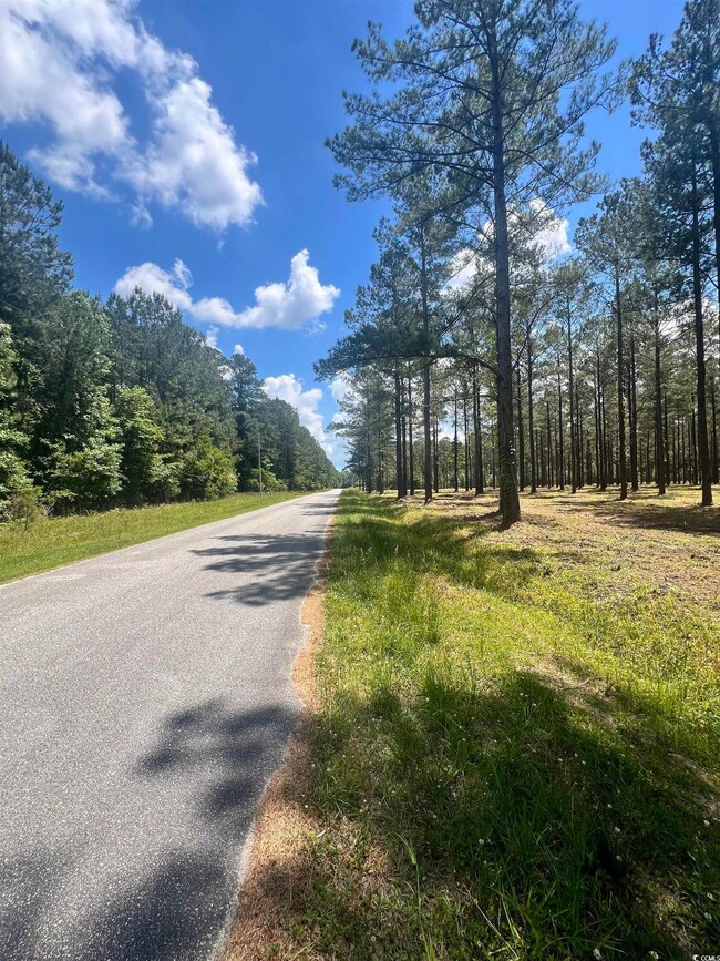 Lot 1 Ashley Cir, Conway, SC 29526 - photo 5
