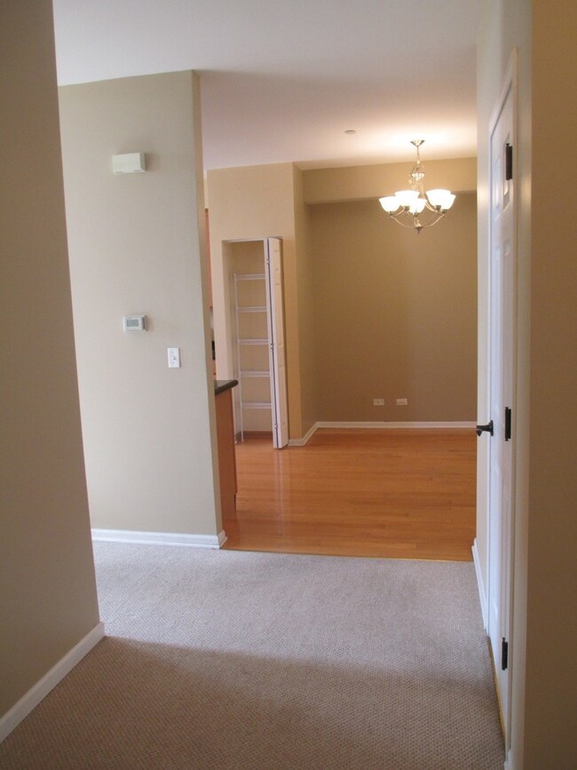 920 Berry Path Trail unit 1132, Matteson, IL 60443 - photo 2