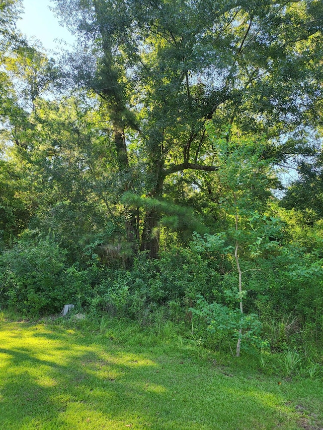 Lot of 3 Satcher Dr, Picayune, MS 39466 - photo 5