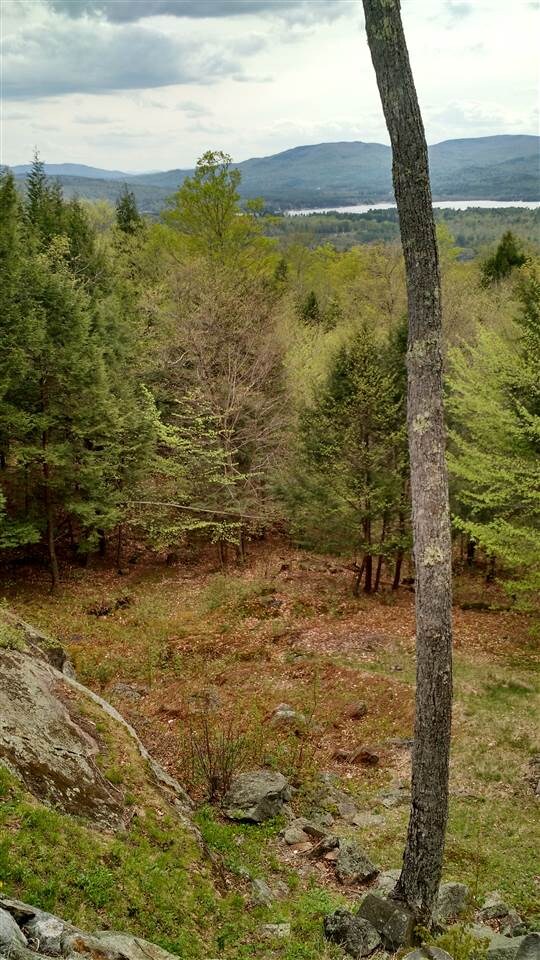 671 John Smith Hill Rd, Bristol, NH 03222 - photo 7