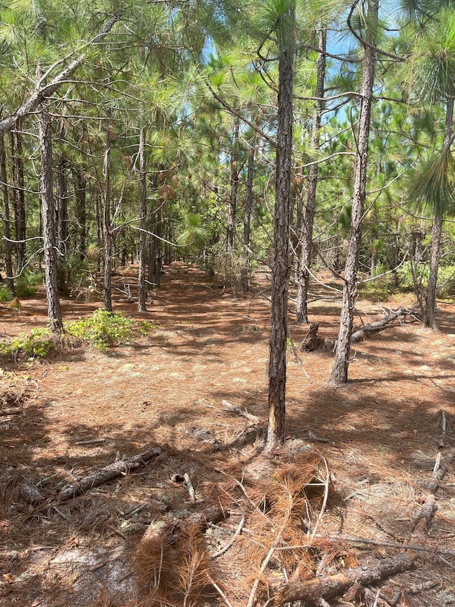 PPF 8 Payne Pond Rd unit PPF 8, Westville, SC 29175 - photo 5