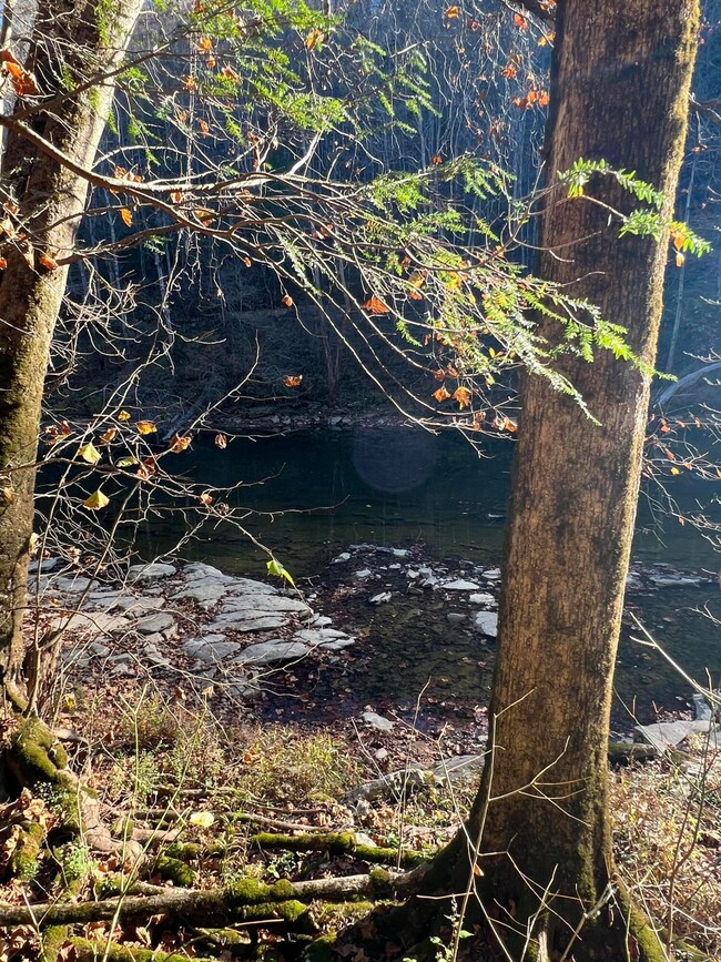 1844 Meece Rd, Somerset, KY 42501 - photo 7