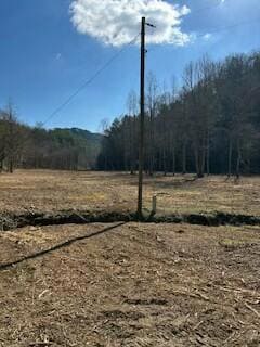 63.74 Acre Chestnut Valley Rd, Vonore, TN 37885 - photo 6