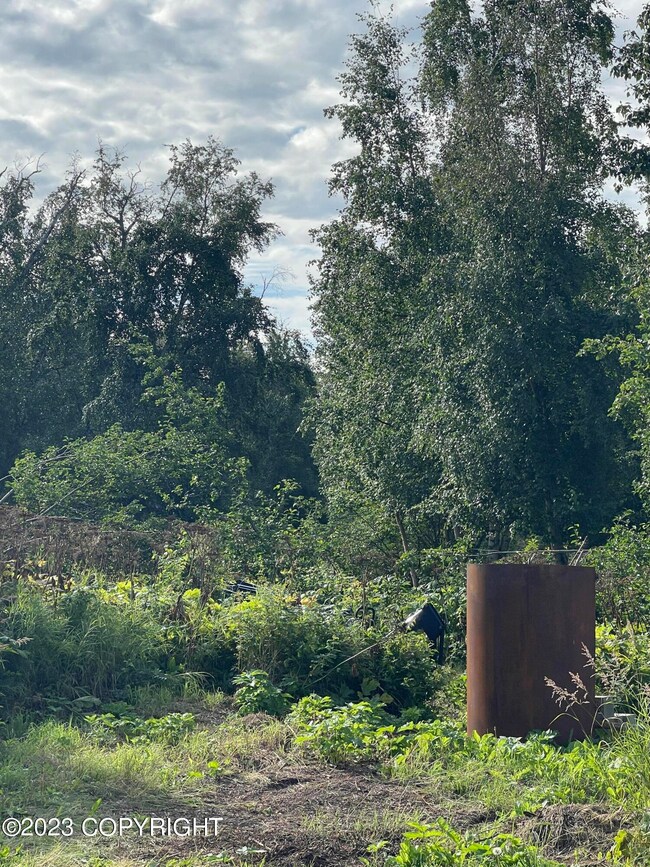 17100 Owens Dr, Lazy Mountain, AK 99645 - photo 4