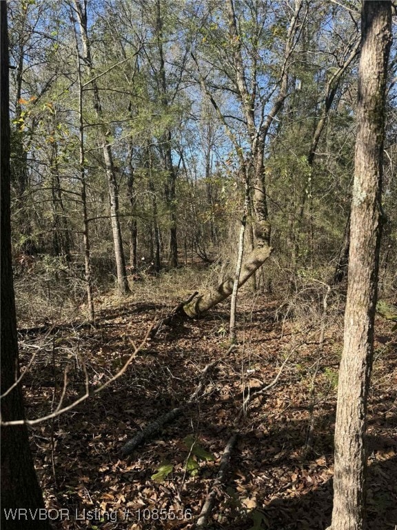 Tract 3 2nd St, Fort Coffee, OK 74959 - photo 6