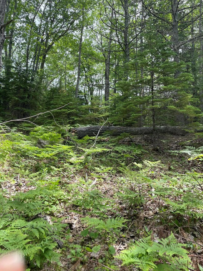 pic 2
