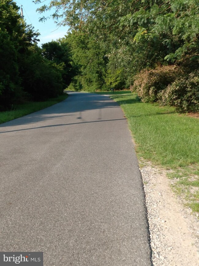 0 Jesterville Rd unit MDWC2000364, Bivalve, MD 21814 - photo 3
