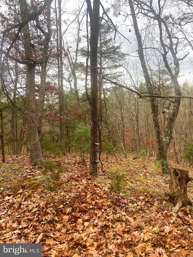 0 Spitz Ln unit VASH2013020, Basye, VA 22810 - photo 4