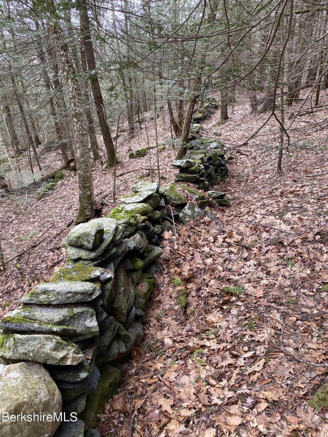 unlisted-address, Cummington, MA 01026 - photo 7