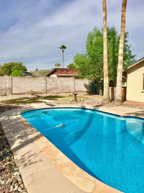 pool and yard