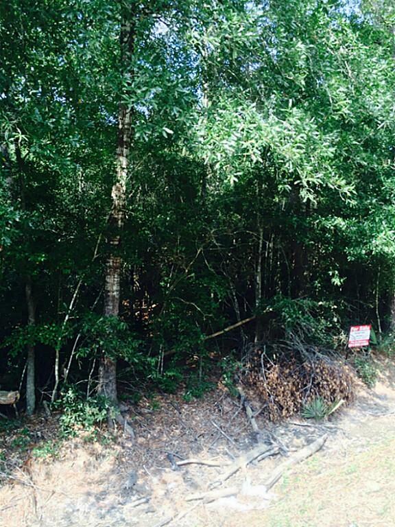 0 Friendship Ln, Conroe, TX 77385 - photo 4