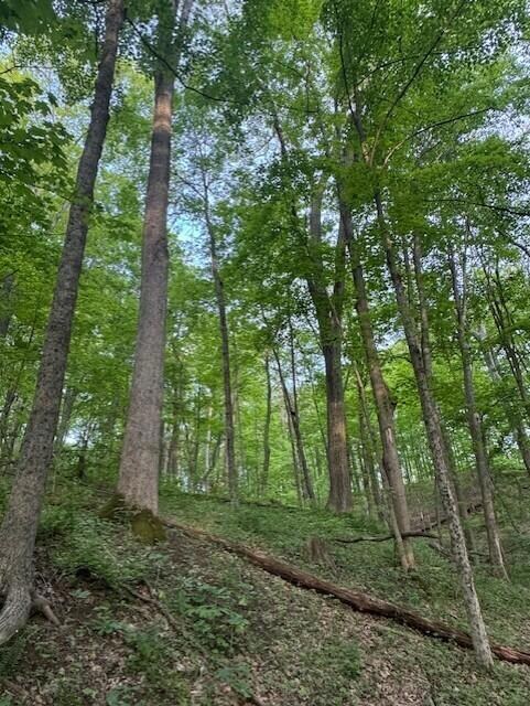 1445 E Branch Rd unit R, Union Township, OH 43758 - photo 4