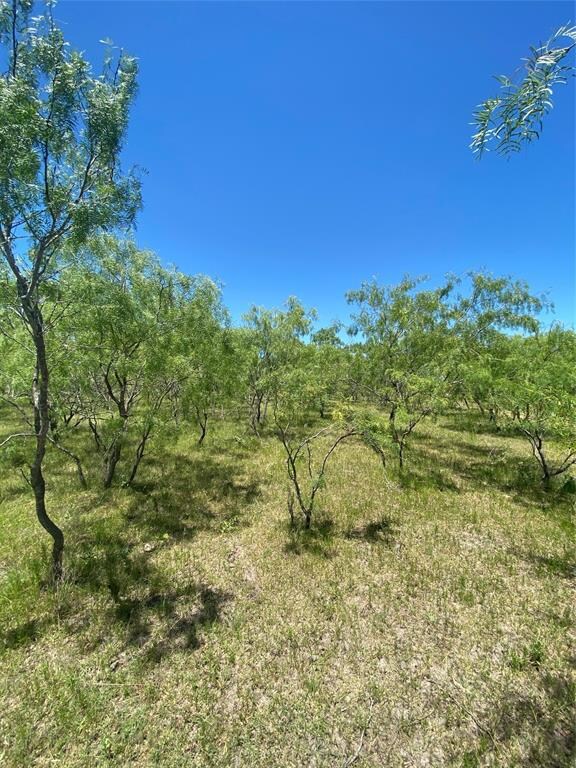 Lot 7 TBD Fm 1181, Ennis, TX 75119 - photo 7