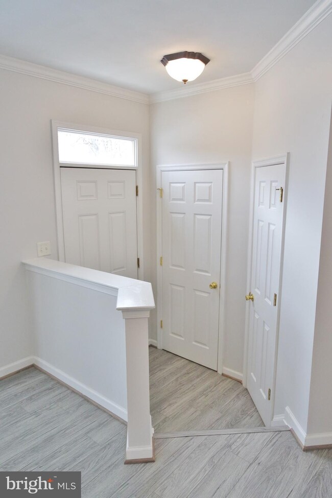 106 Hupps Hill Ct, Strasburg, VA 22657 - photo 4