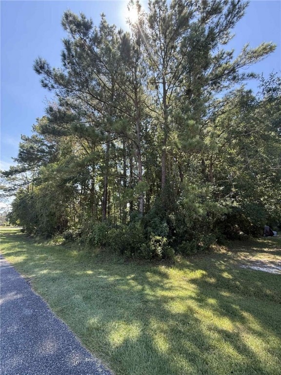 411 Brentwood Cir, Brunswick, GA 31523 - photo 4