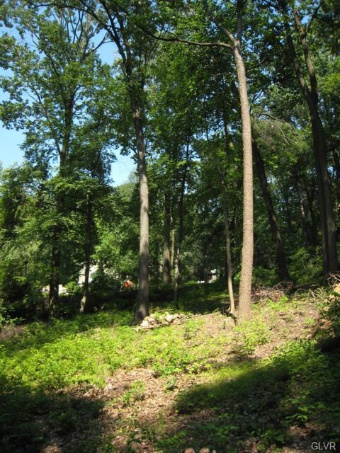 87 Chestnut Hill Rd, Emmaus, PA 18049 - photo 4