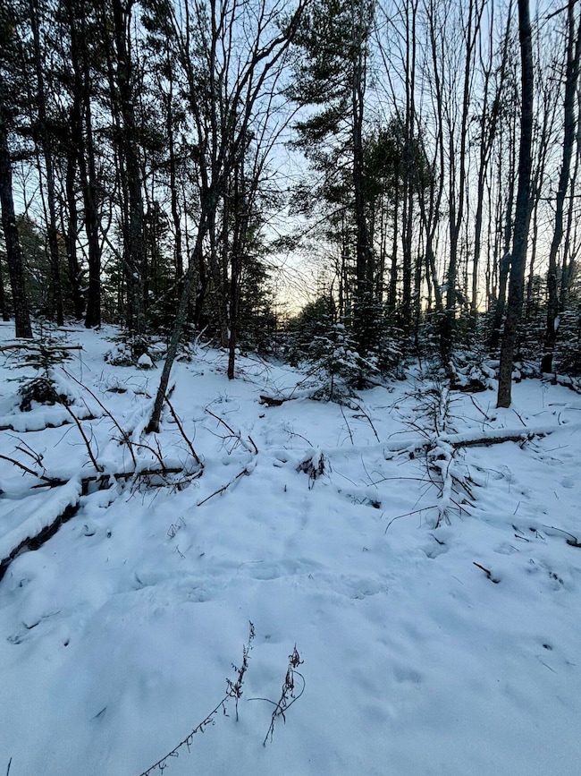 0 Meadow Brook Ln, Orland, ME 04472 - photo 4