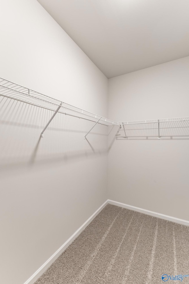 14207 Water Stream Dr, Harvest, AL 35749 - photo 5