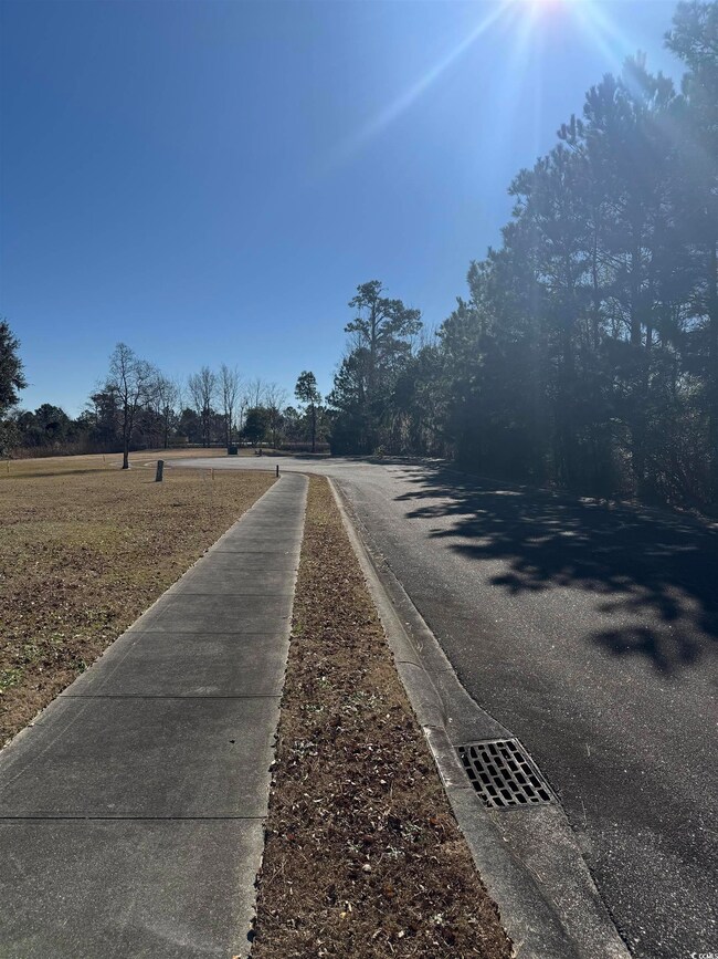 437 Rosebank Rd unit Lot 108, Georgetown, SC 29440 - photo 5