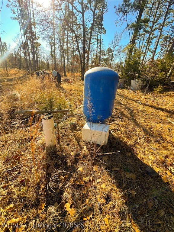 10330 High Rock Rd, Rudy, AR 72952 - photo 2