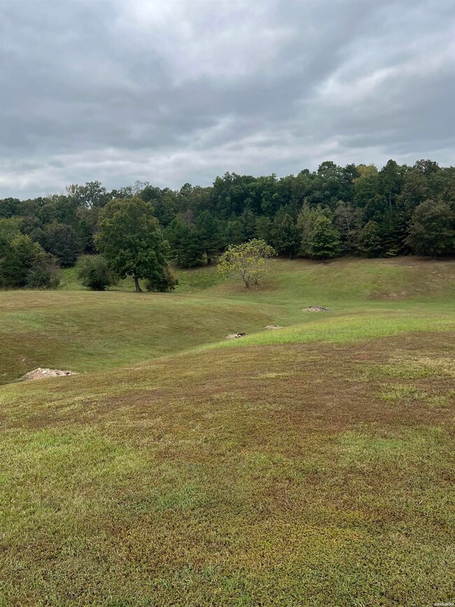 912 Ebenezer Rd, Amity, AR 71921 - photo 6