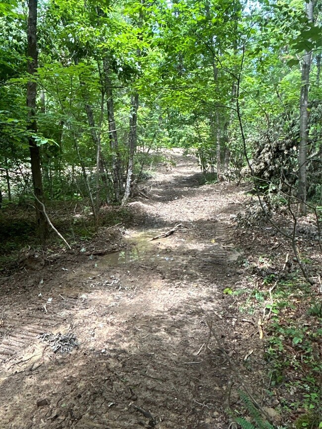 0 van Crabtree Road Lot unit Wp001, Lucasville, OH 45648 - photo 4