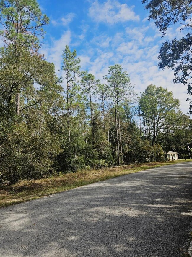 0 SW 206th Court Rd, Dunnellon, FL 34431 - photo 4