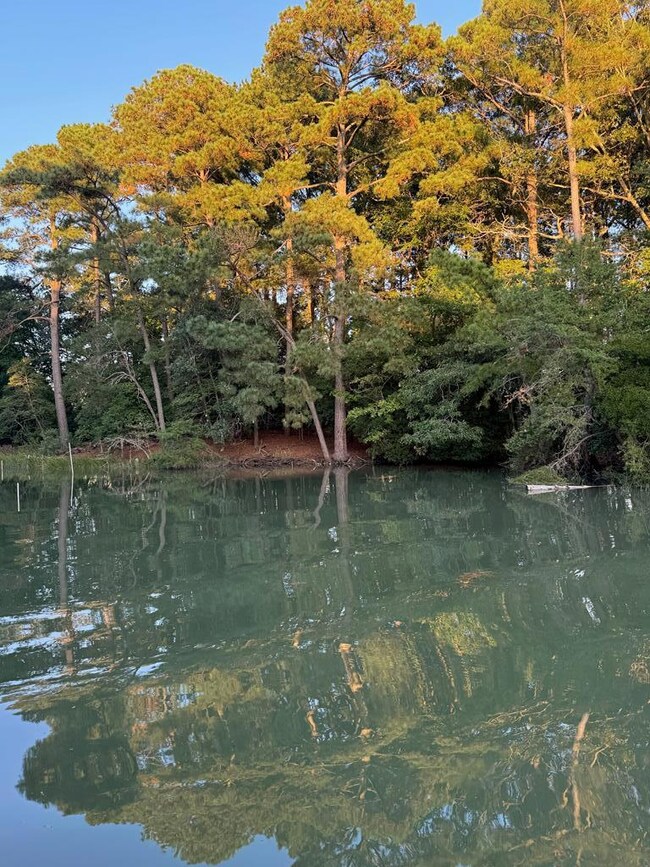 View from Water