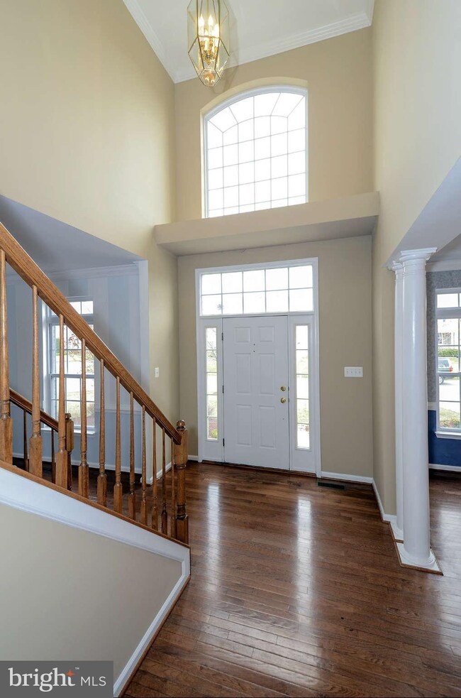 704 Buoy Ct, Annapolis, MD 21409 - photo 3