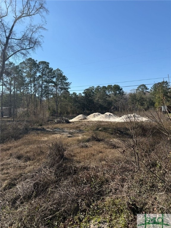 145 Middle Landing Rd, Bloomingdale, GA 31302 - photo 7