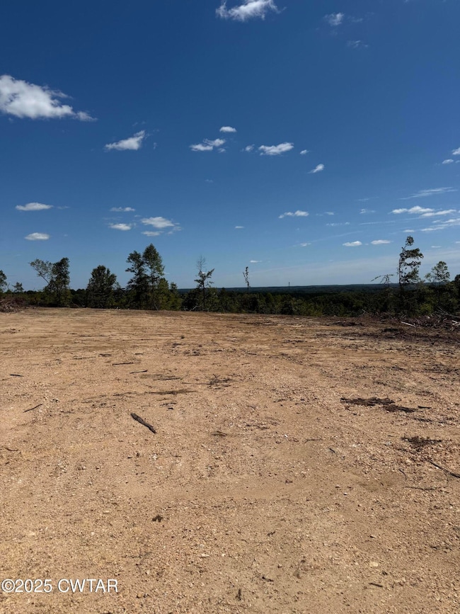 0 Whiskey Ridge Rd, Paris, TN 38242 - photo 2