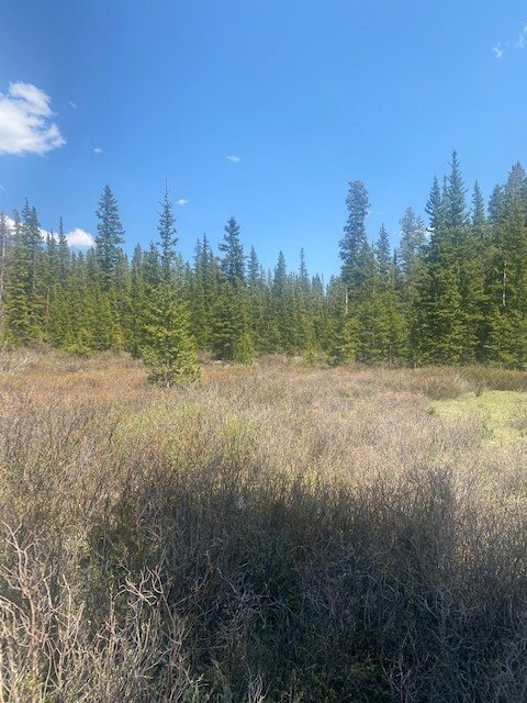 0 Tbd unit S1027519, Fairplay, CO 80440 - photo 3