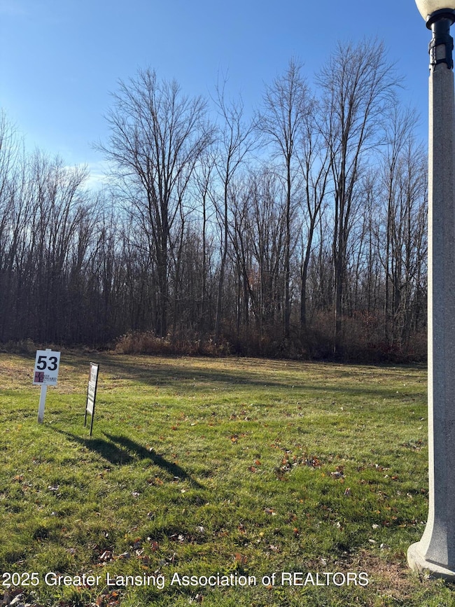 Lot 53 Doe Pass, Lansing, MI 48917 - photo 7