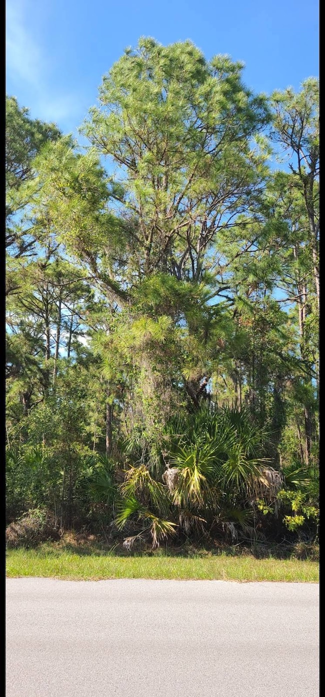Frontal View of Property