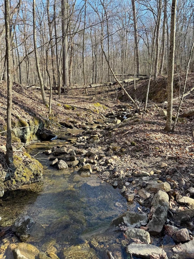 Lot 10 Independence Ln, New Market, VA 22844 - photo 4