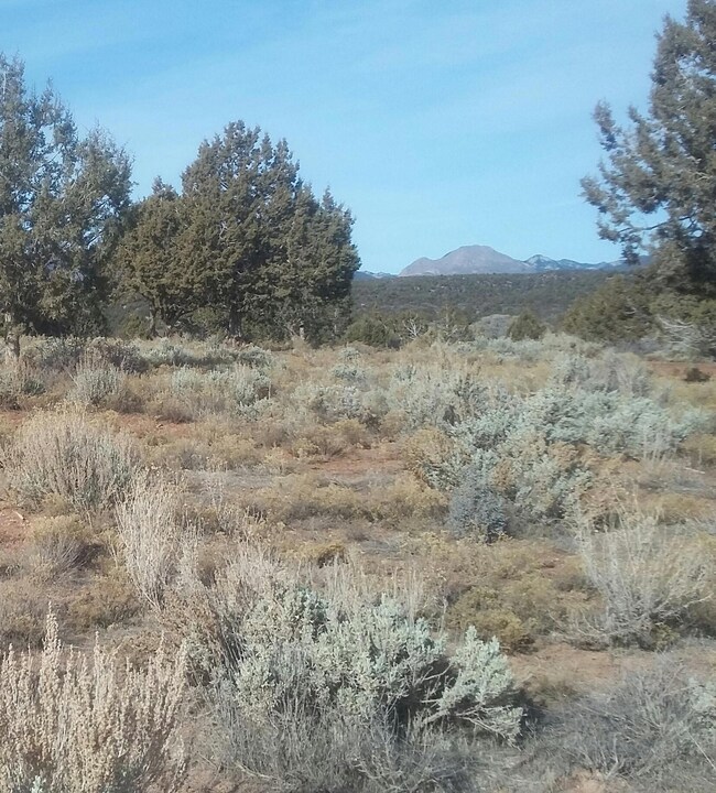 view east to Pine Valley Mountains