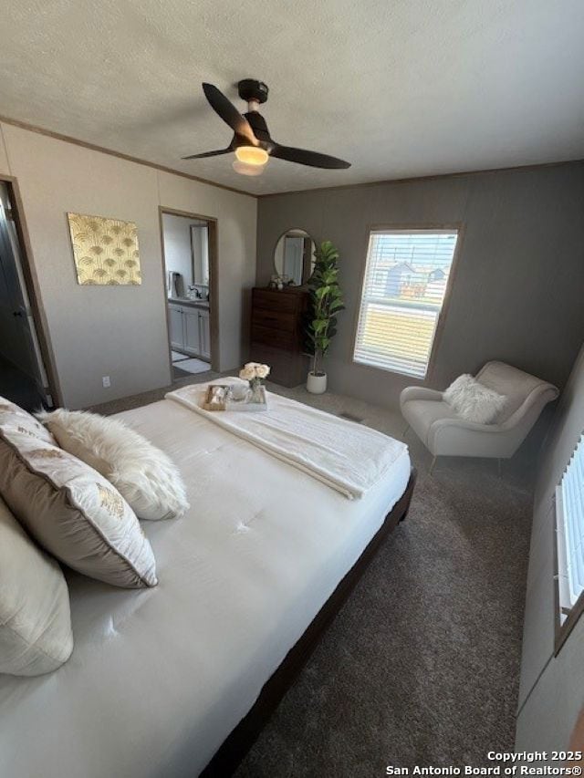 15966 Flores Curve, San Antonio, TX 78221 - photo 4