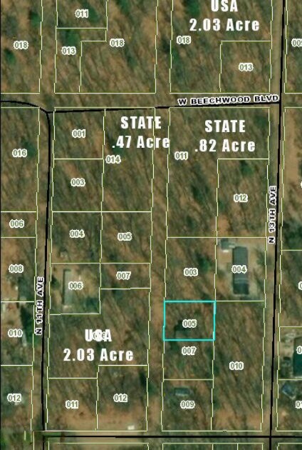 9030 12th Ave, Bitely, MI 49309 - photo 2