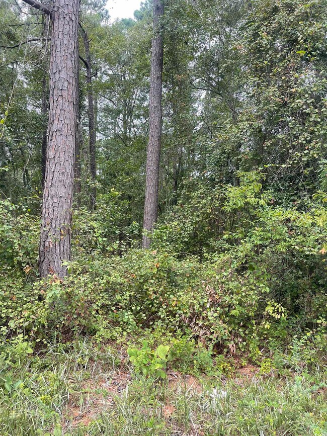 Tr 2 Hampton Rd, Conway, SC 29527 - photo 3