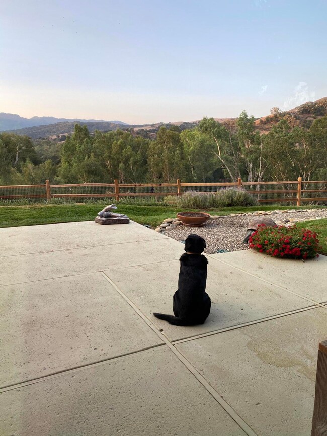 large yard